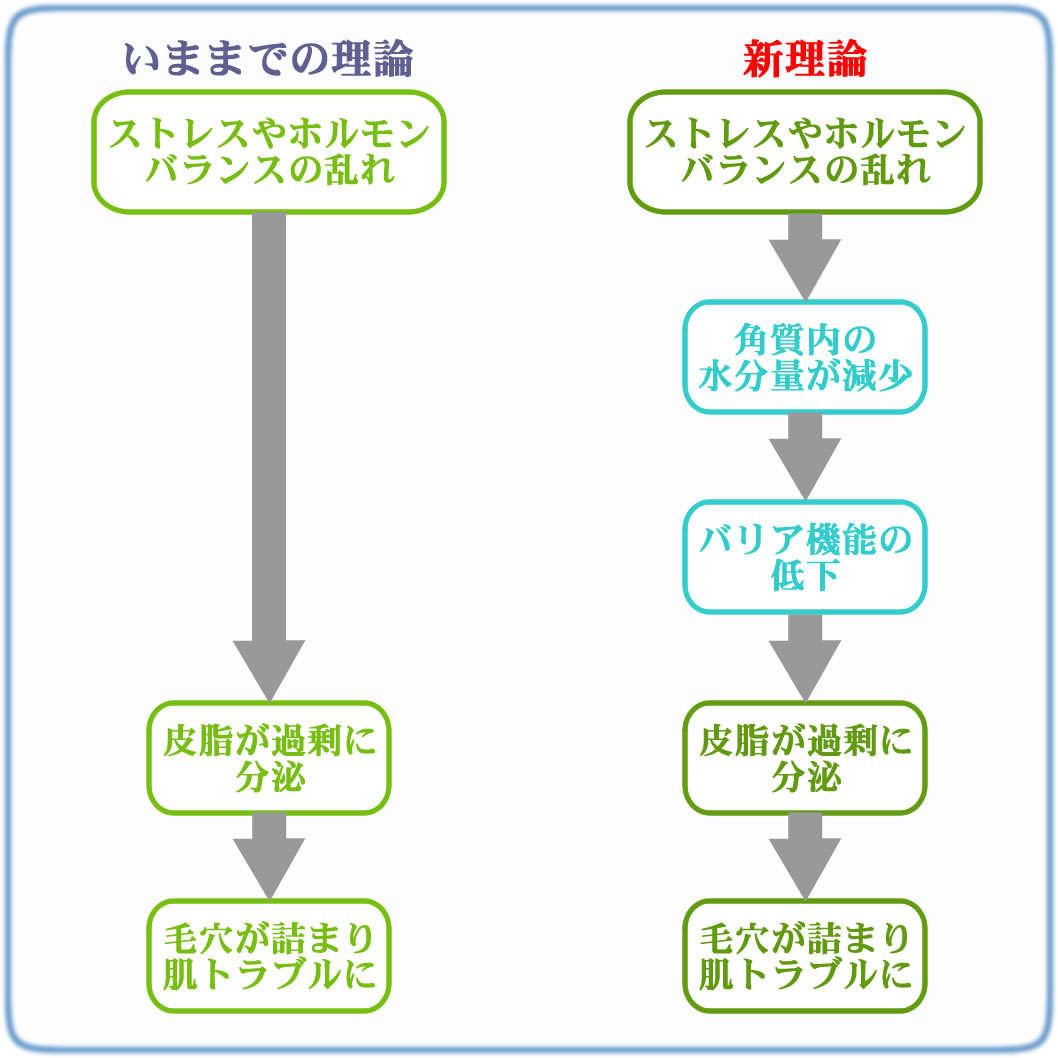 大人の肌トラブル