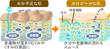 むくみ肌の原因